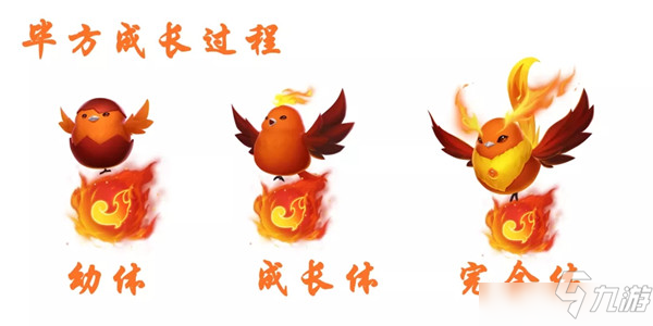 QQ飞车手游毕方技能是什么?新宠物毕方获取途径介绍