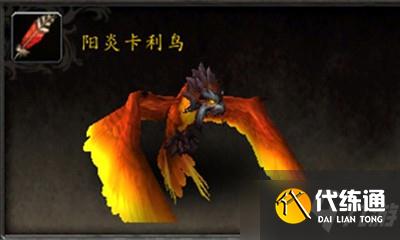 《魔兽世界》宠物阳炎卡利鸟获取攻略