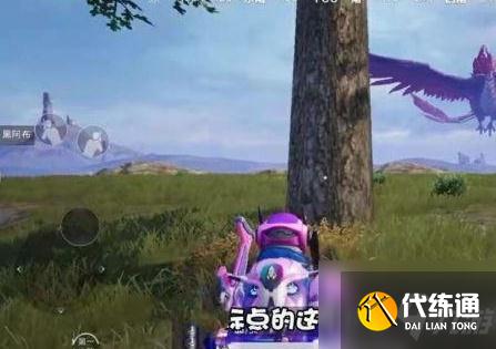 和平精英海岛地图炸水花打卡点位置介绍