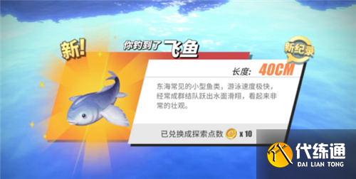 航海王热血航线钓鱼图鉴攻略大全