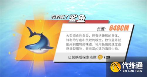 航海王热血航线钓鱼图鉴攻略大全