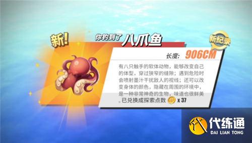 航海王热血航线钓鱼图鉴攻略大全