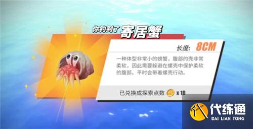 航海王热血航线钓鱼图鉴攻略大全