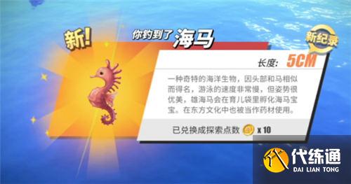航海王热血航线钓鱼图鉴攻略大全