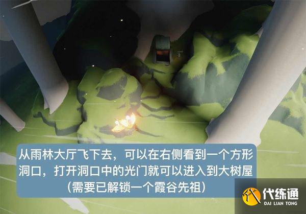 光遇智慧宝库秘密区域在哪