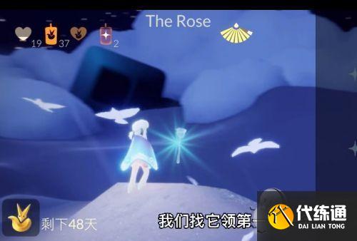 光遇星光沙漠玫瑰在哪里 光遇星光沙漠玫瑰在哪里