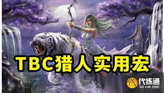 魔兽世界TBC怀旧服猎人实用宏汇总