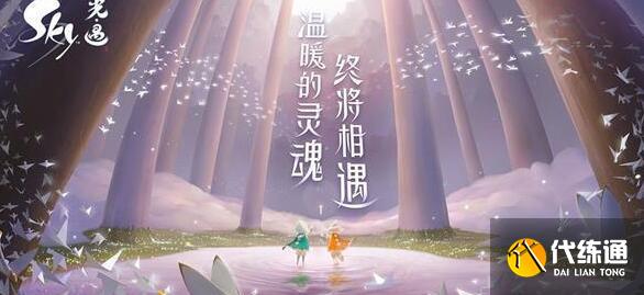 《光遇》8.24每日任务怎么做