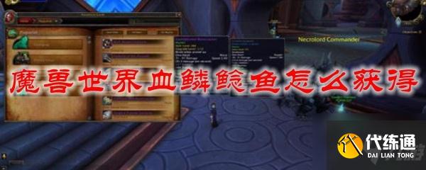魔兽世界血鳞鲶鱼在哪获得?魔兽世界血鳞鲶鱼获取途径分享