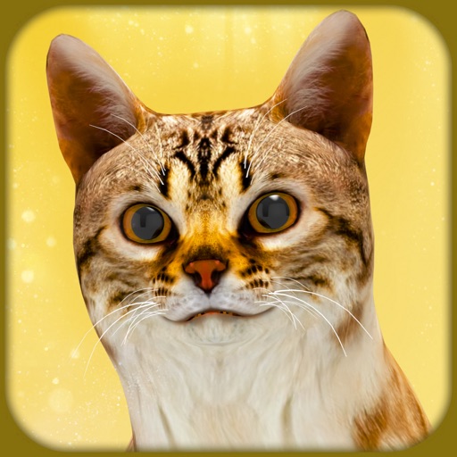 怀孕的猫和可爱的小猫游戏免费下载-怀孕的猫和可爱的小猫游戏iso下载