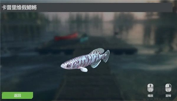 终极钓鱼模拟器无限金币版游戏攻略4