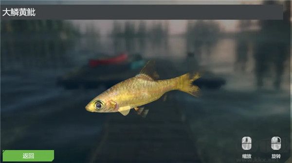 终极钓鱼模拟器无限金币版游戏攻略9