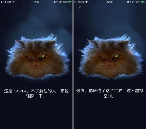 ookla speedtest怎么用