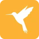 Reqable(抓包软件) v2.33.12