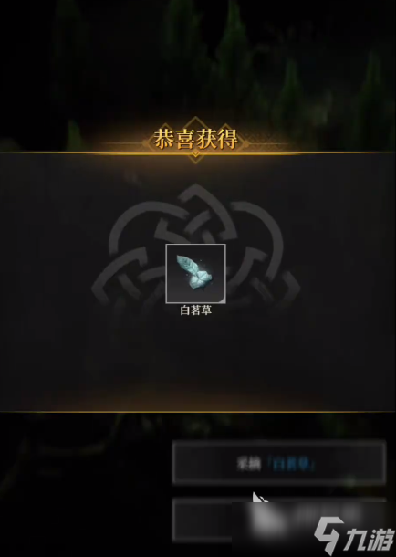 地下城堡4白茗草怎么获得