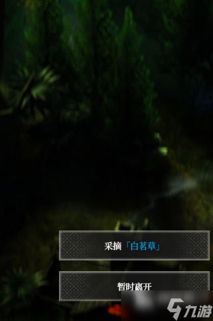 地下城堡4白茗草位置在哪里