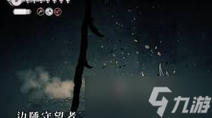 空洞骑士丝之歌中边陲守望者在哪找
