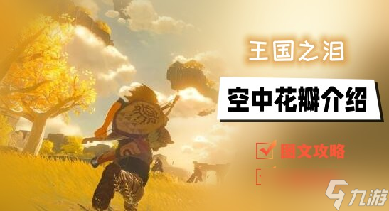 王国之泪空中花瓣的探索与获取指南