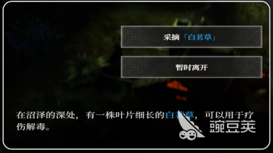 地下城堡4白茗草位置