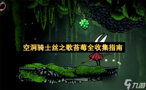 空洞骑士<a