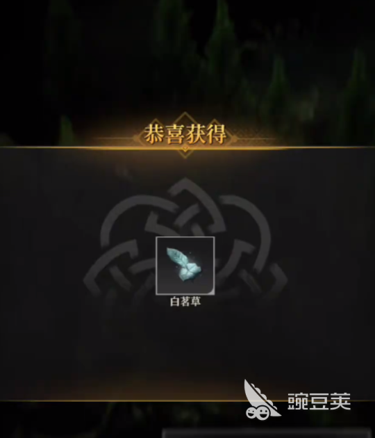 地下城堡4白茗草位置