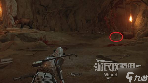 《羊蹄山之魂》致盲弹获取方法