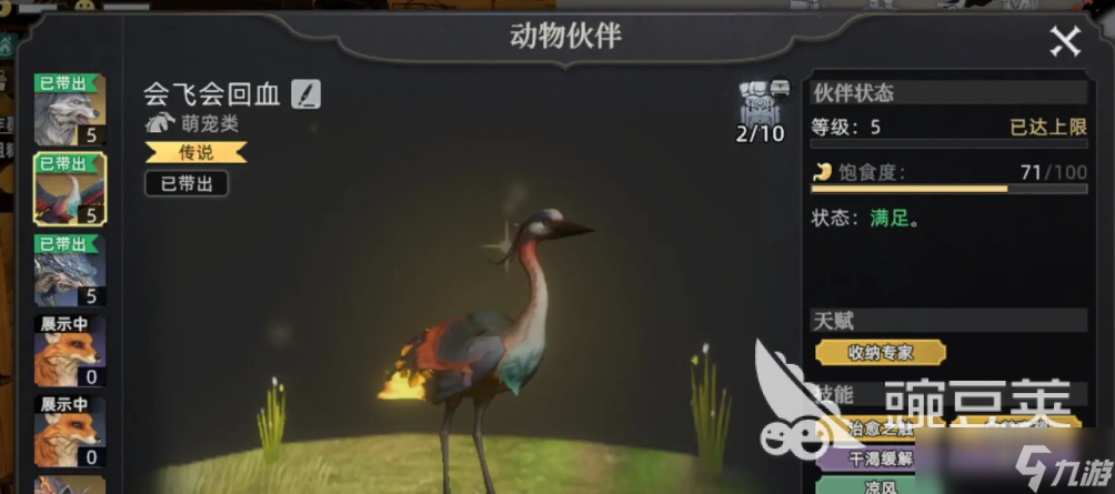 荒原曙光熊在哪里