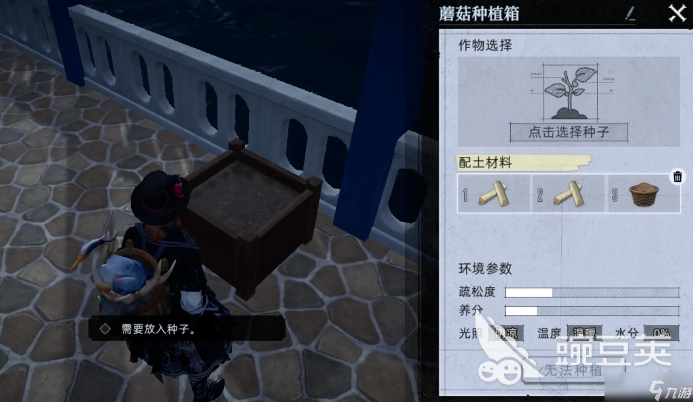 荒原曙光白灵菇怎么种植