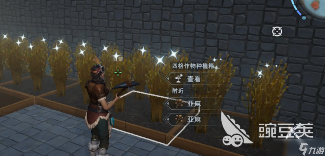 荒原曙光亚麻在哪