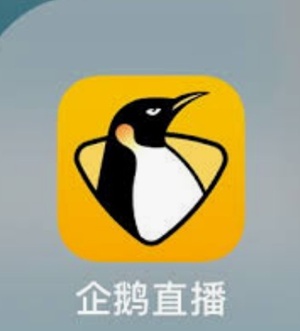 企鹅直播APP